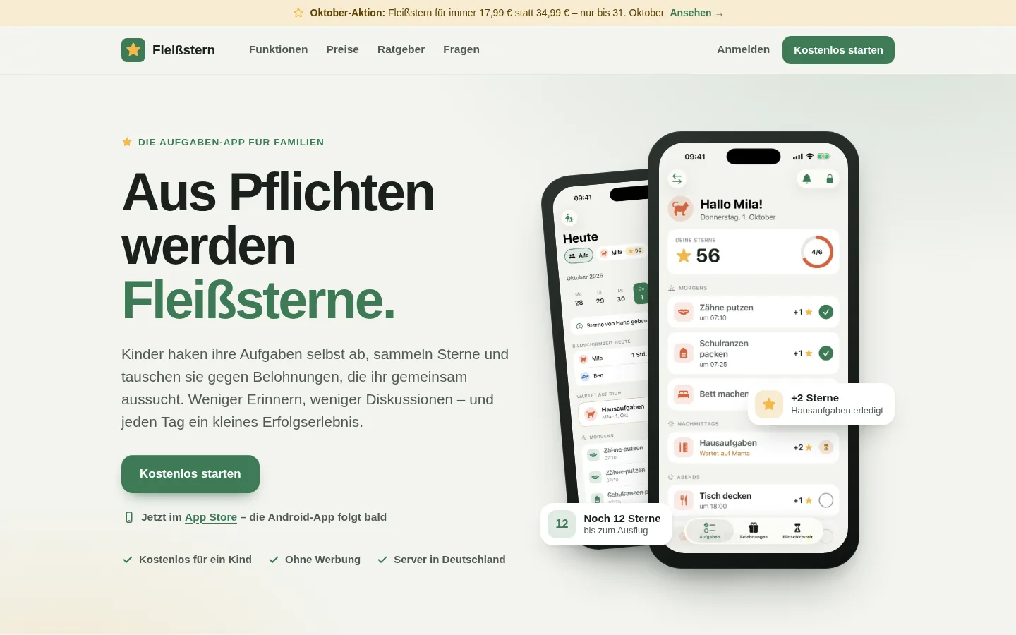 Website von Fleißstern